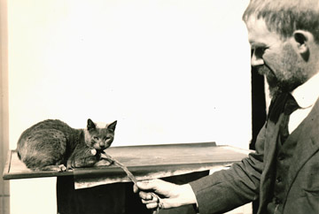 Charles B. Davenport and cat