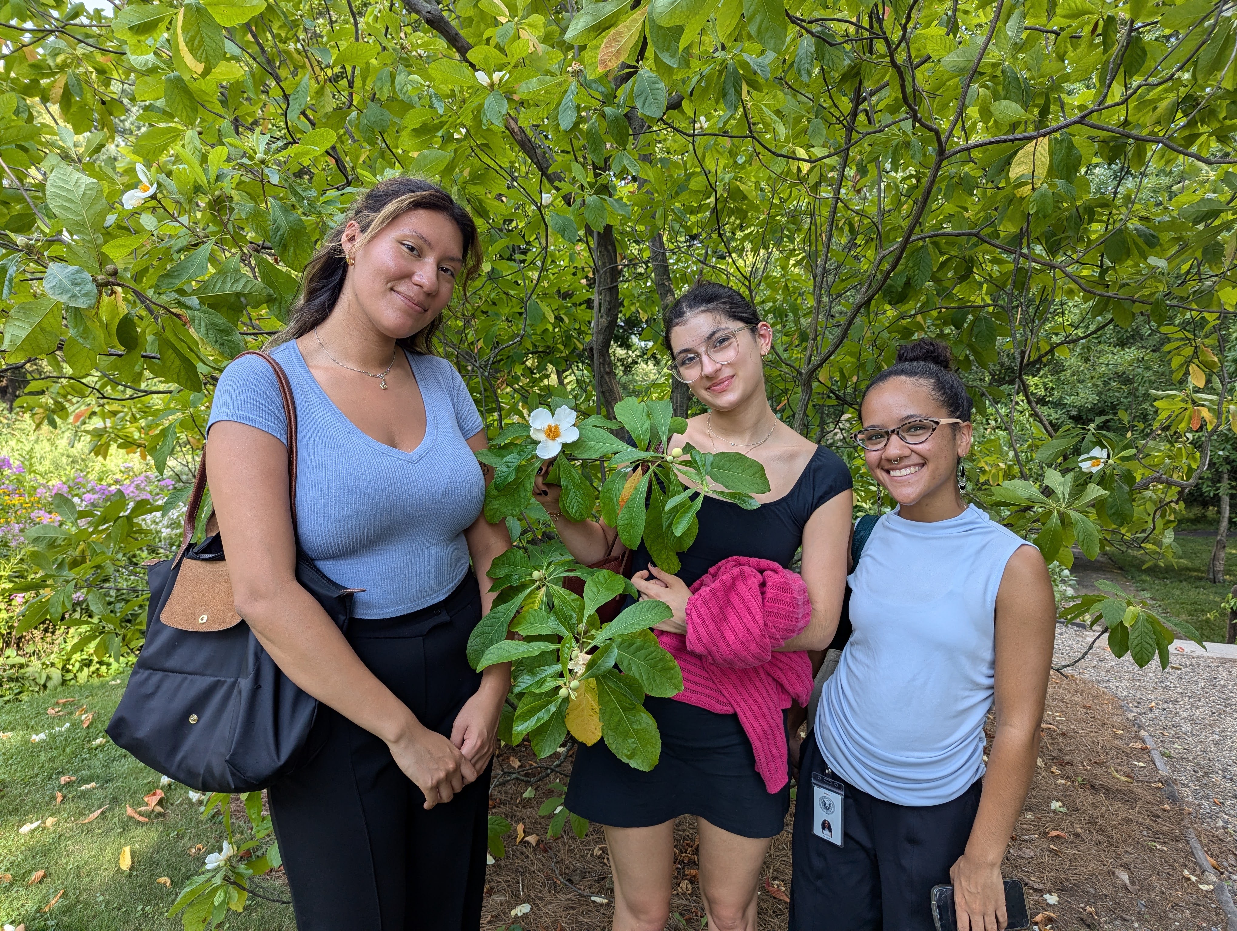 2024 NASI summer interns at Bartram's Garden, with Franklinia flower