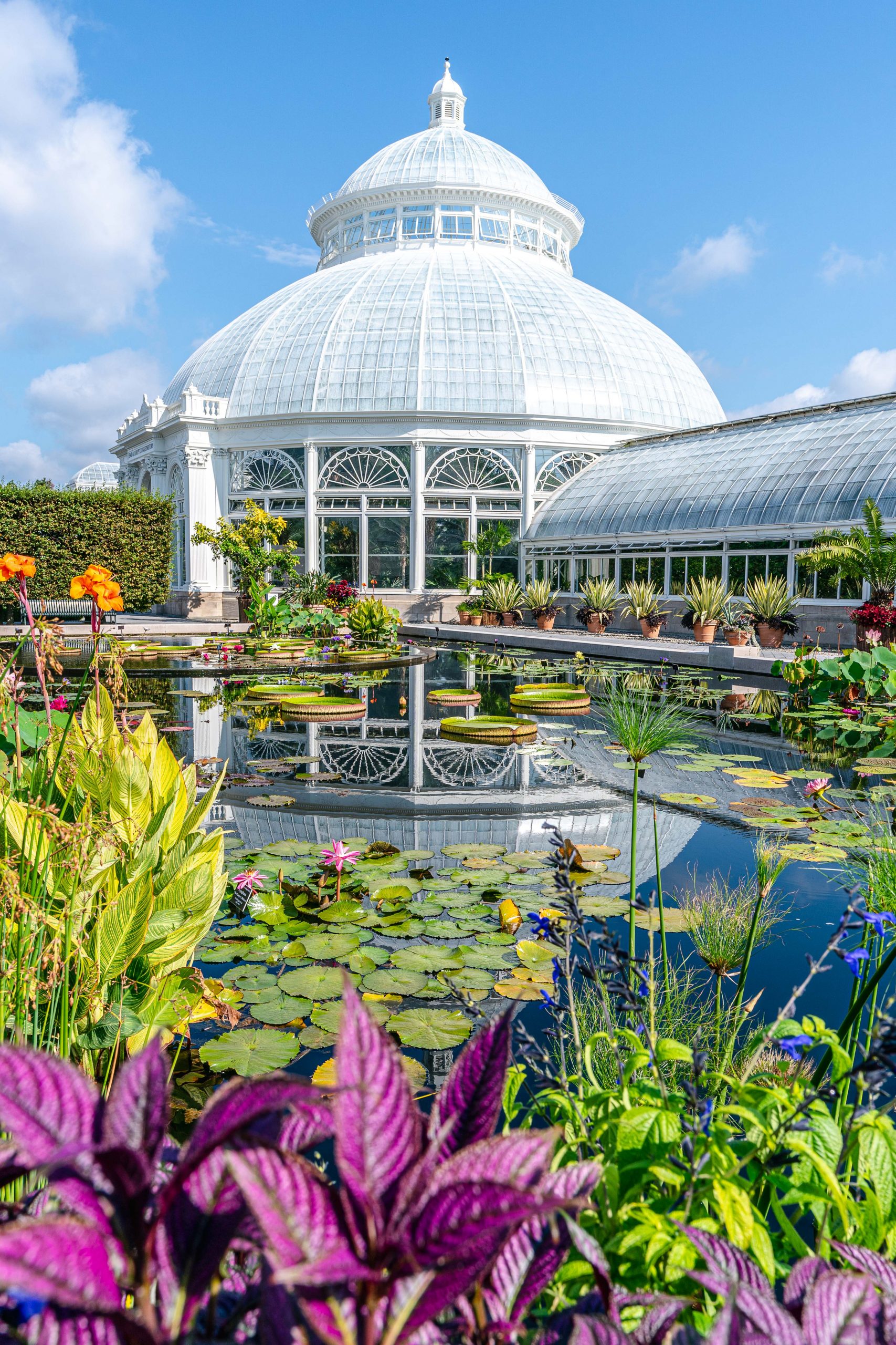 photo of conservatory courtyard with lily pond in foreground