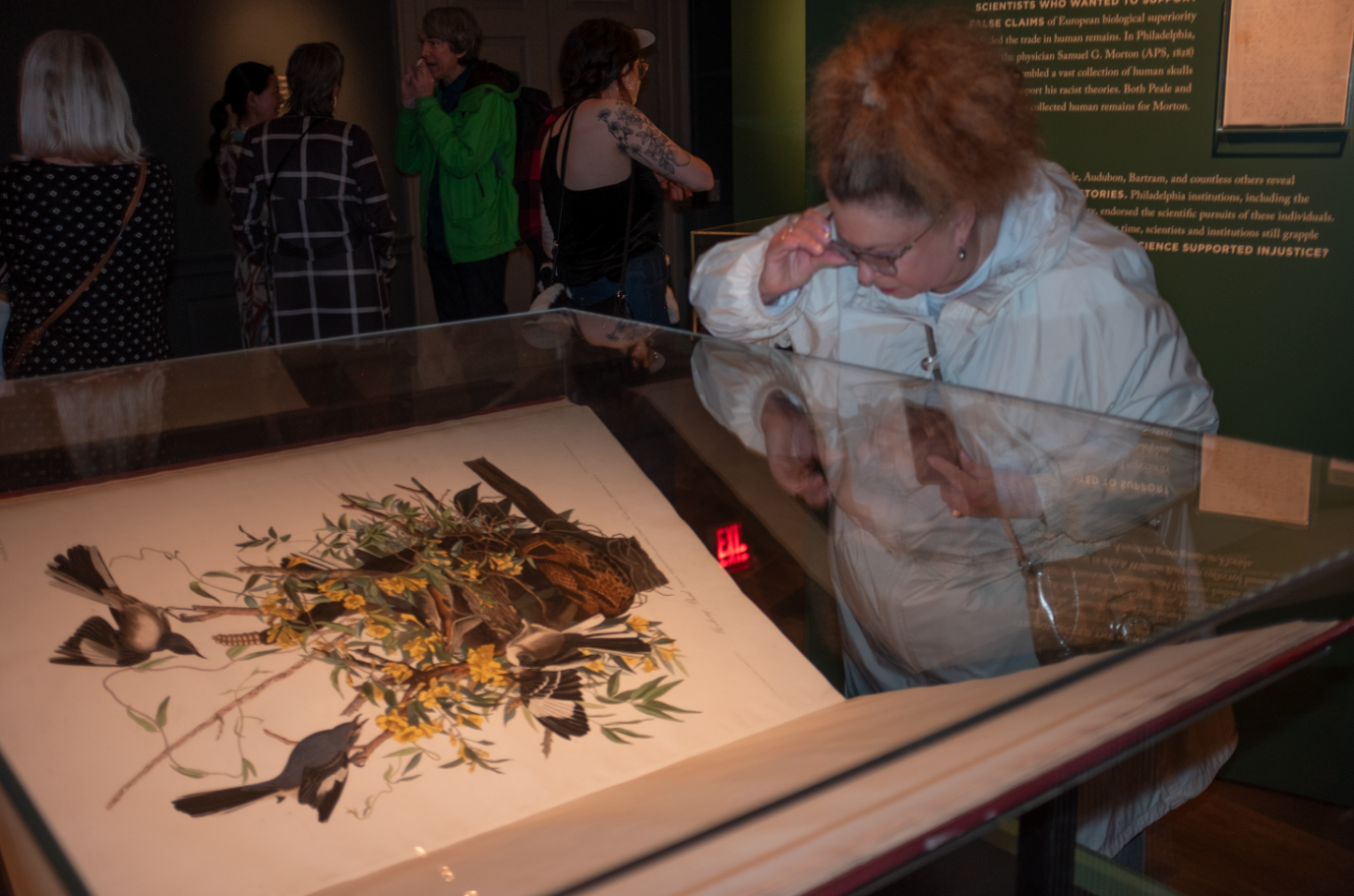 photo of woman peering into case with The Birds of America in it