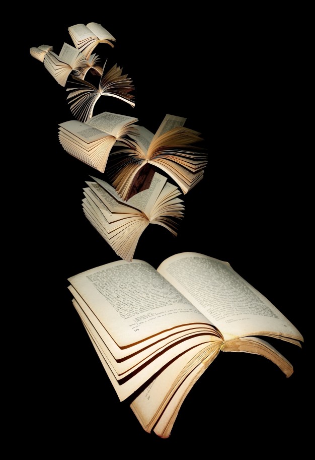 image of books fanned out in flight