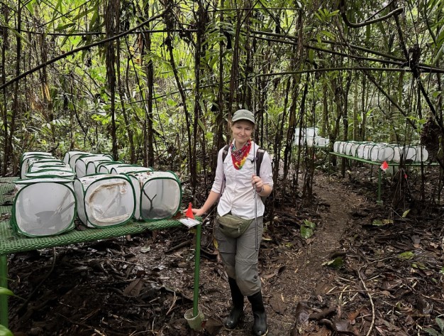 photo of person standing in forest among research 