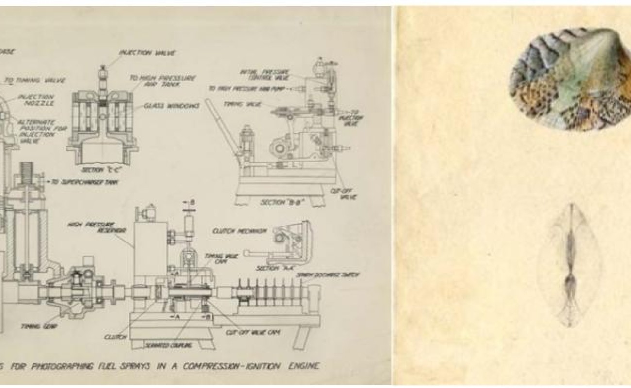 Side by side picture of Apparatus for Photographing Fuel Sprays in a Compression-Ignition Engine and Sketch of Venus Grata