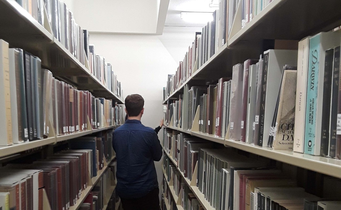 A of an APS Intern in the Archives 