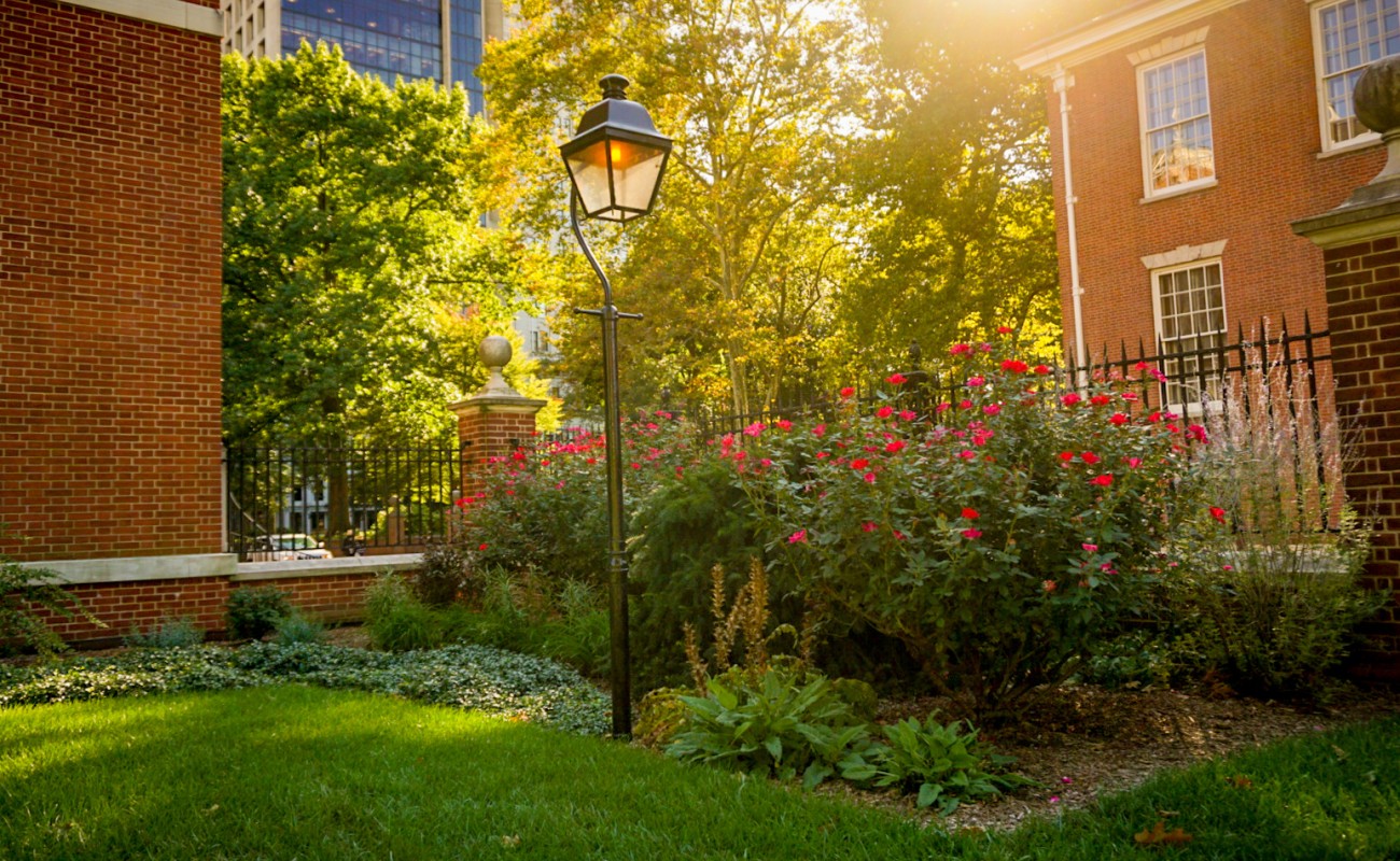 A picture of plants in the Jefferson Garden 