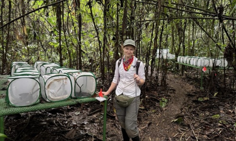 grantee with lizard enclosures in the costa rican forest