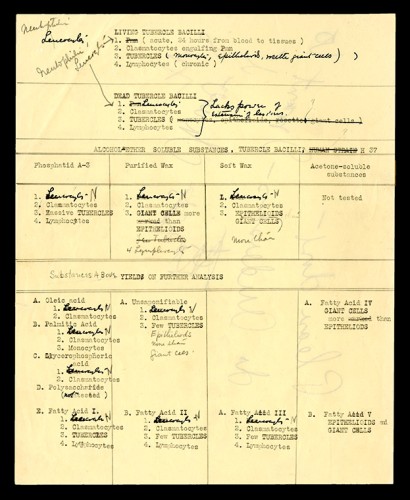 Draft Report on tuberculosis research