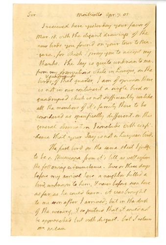 Letter to Alexander Wilson 