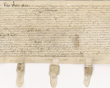 image of a deed